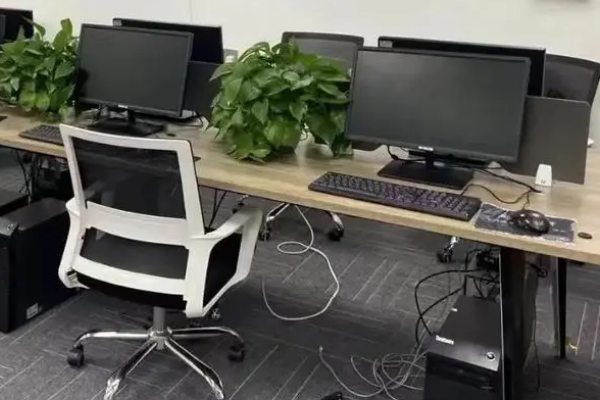 租赁软件：让你拥有更多选择权